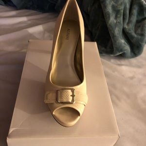 Alfani pumps